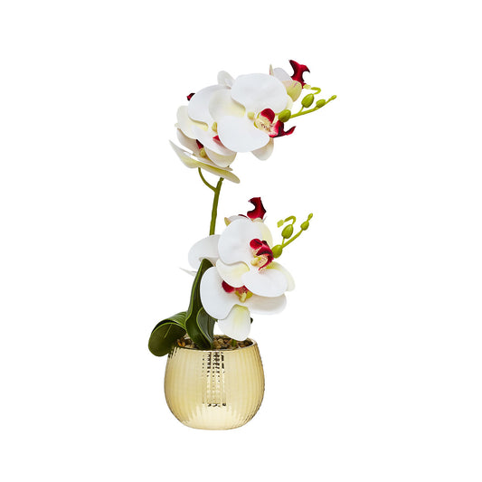 Faux Orchid In Gold Pot White/Pink