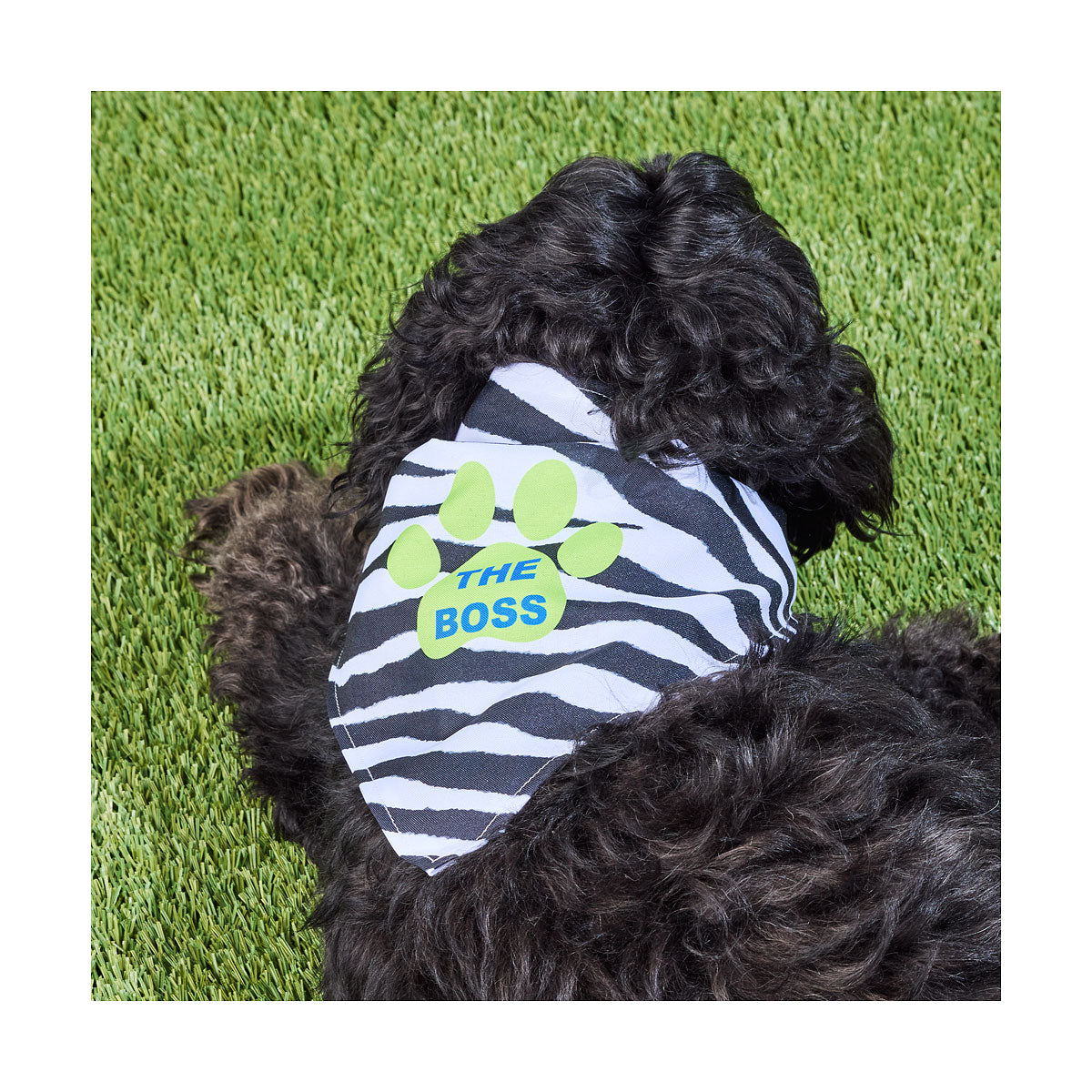 Pet The Boss Bandana