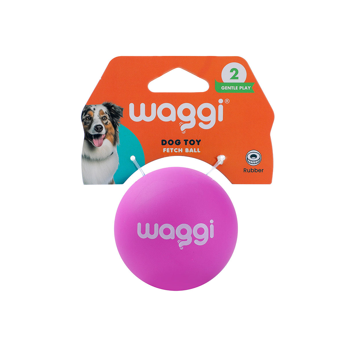 Waggi Pet Fetch Bounce Ball