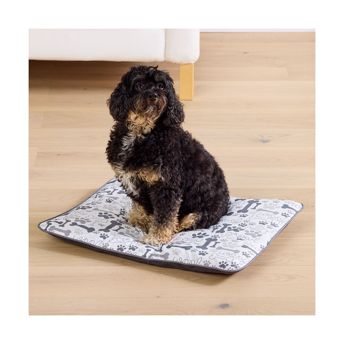 Printed Pet Mat Assorted