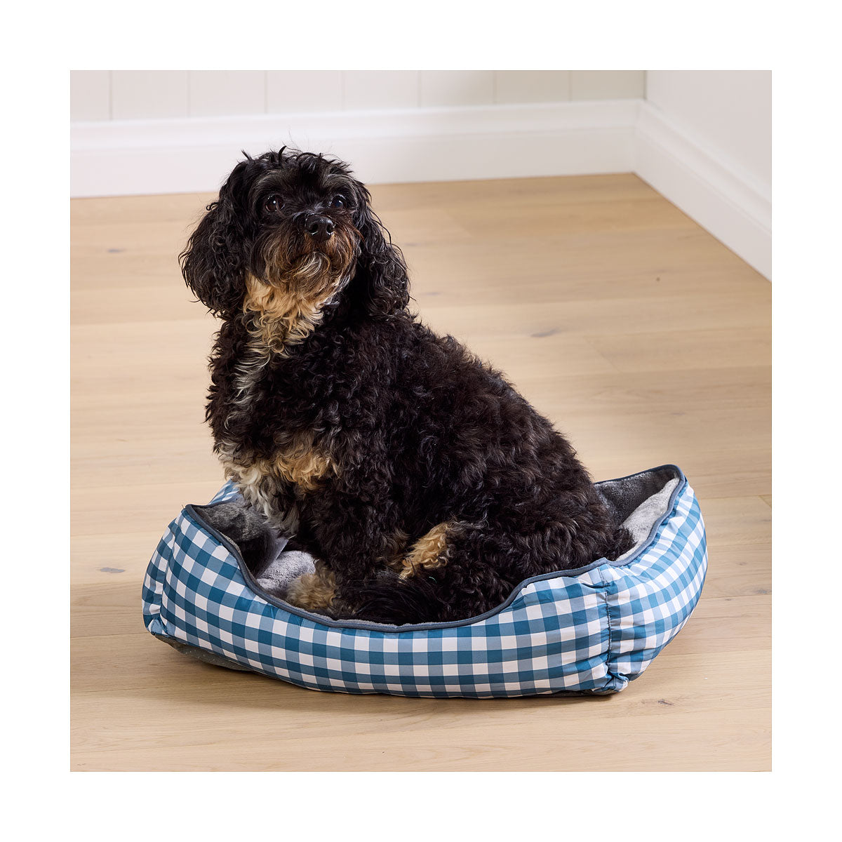 Printed Pet Bed Assorted