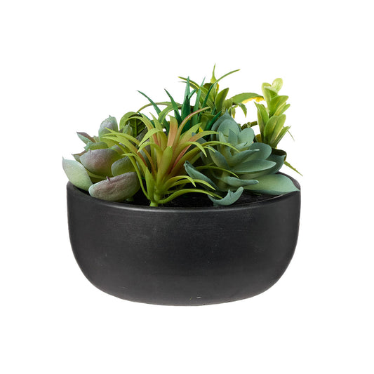 Multi Faux Succulent in Pot Black/White