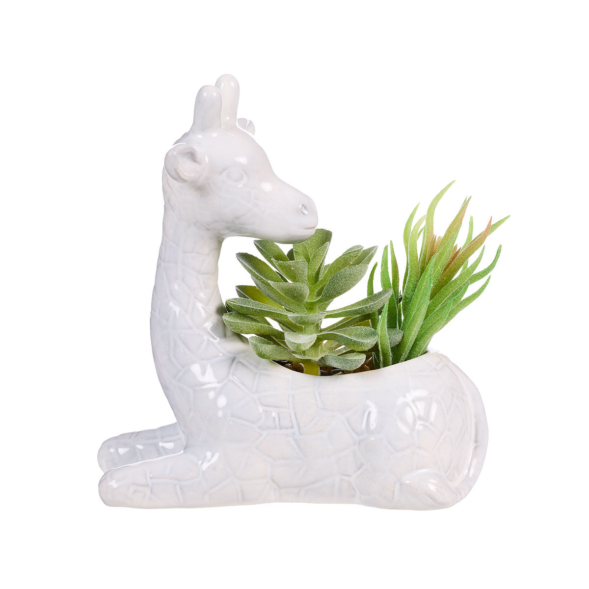 Faux Succulent Giraffe/Jungle