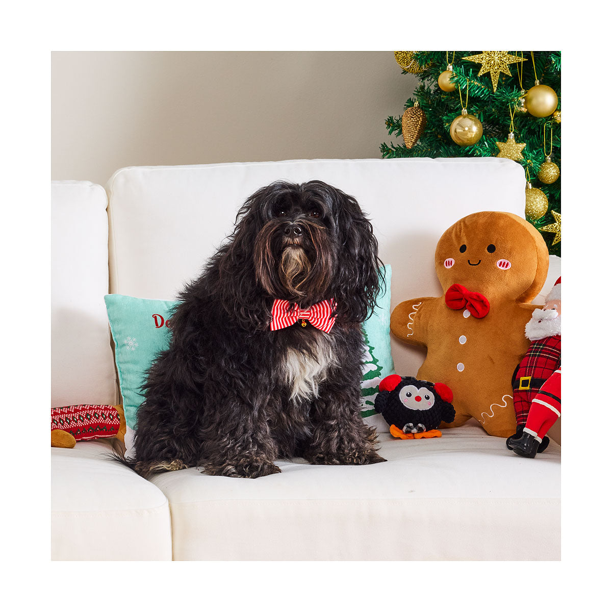 Christmas Pet Bowtie Icon Print