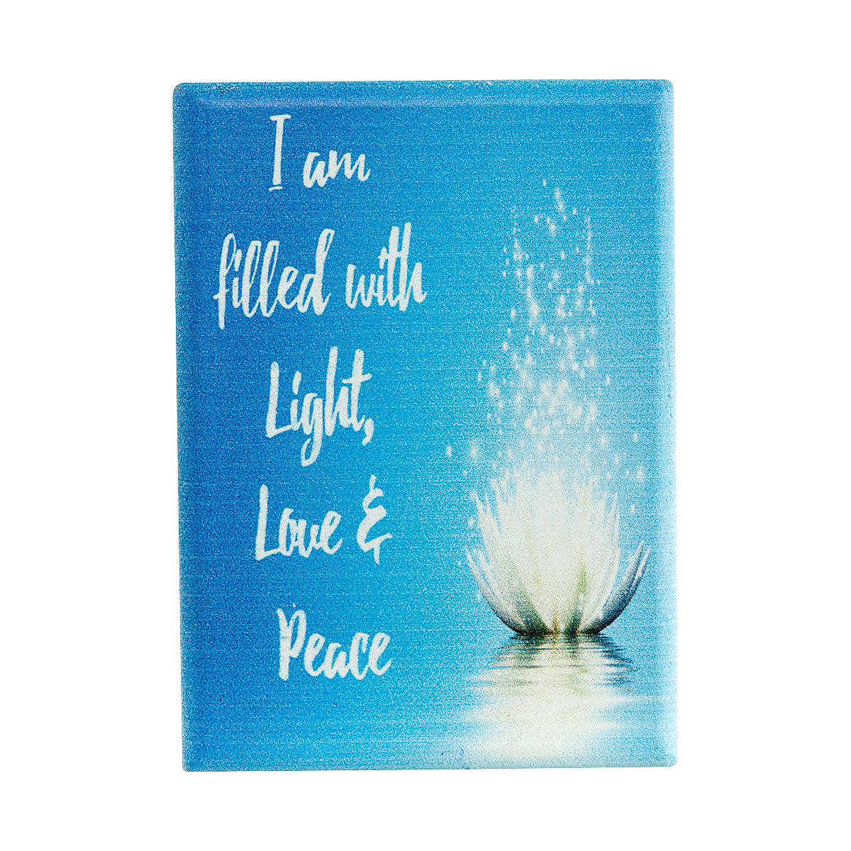 Fridge Magnet Assorted