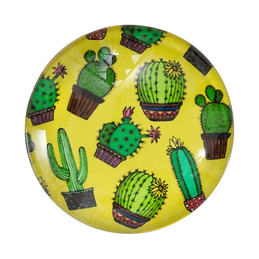 Fridge Magnet Assorted