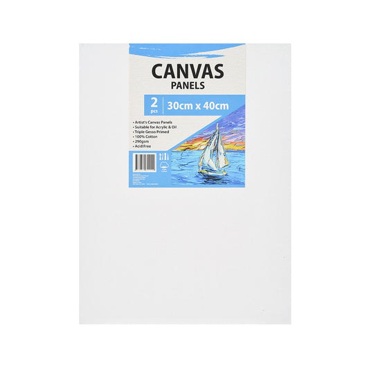 ProPaint Canvas Panels 30x40cm 2pk