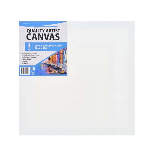 Propaint Canvases 3pk