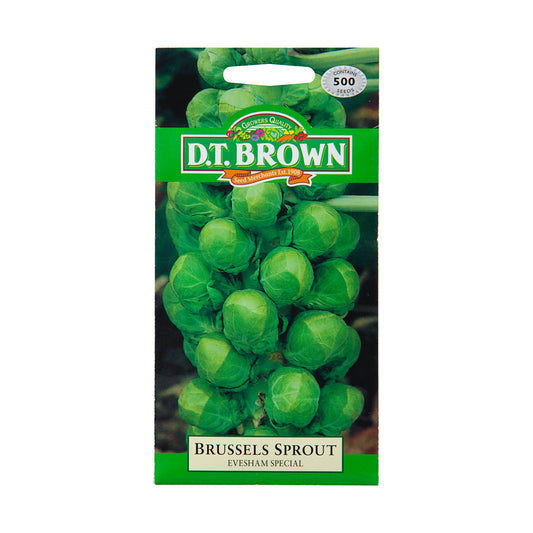 Dt Brown Burssels Sprout Seeds 500pc