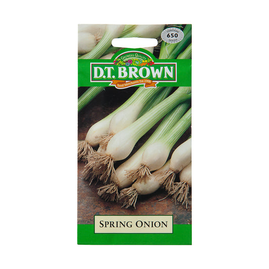 DT Brown Spring Onion Seeds 650pc