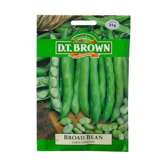 Dt Brown Early Long Pod Broad Bean Seeds 25g
