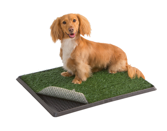 Pet Haven Pet Park 51x64cm