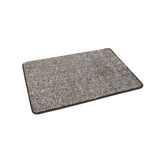 Absorbent Door Mat