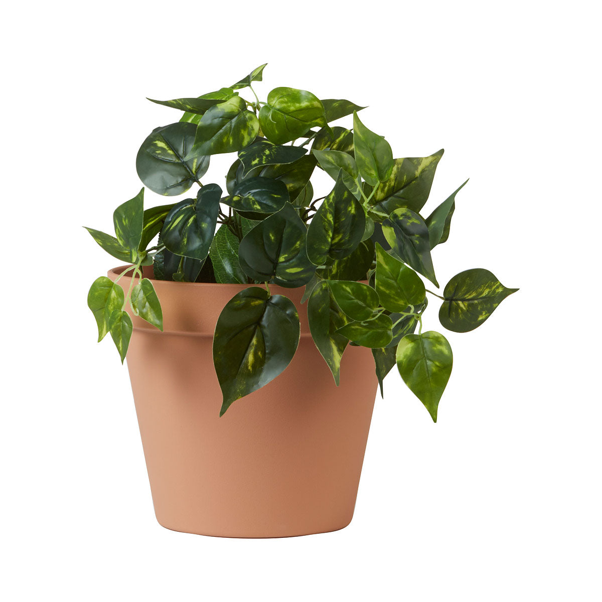 Plastic Pot Grey or Terracotta 27cm