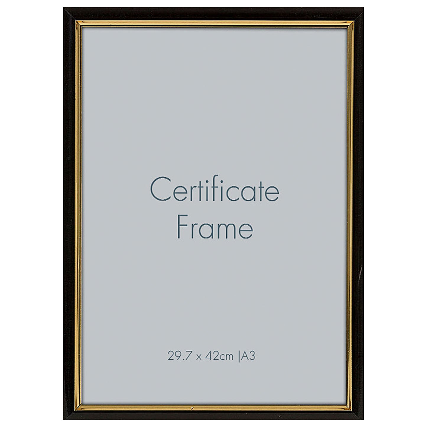 Memory Lane Certificate Frame A3