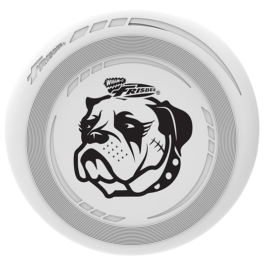 Frisbee Go Fun Flyer