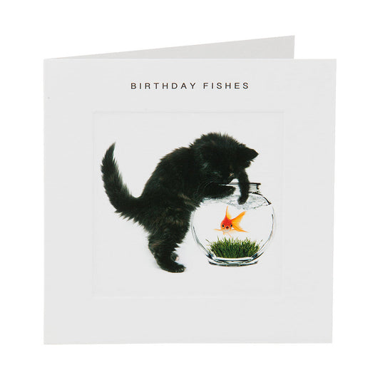Cute Kitten Birthday Card