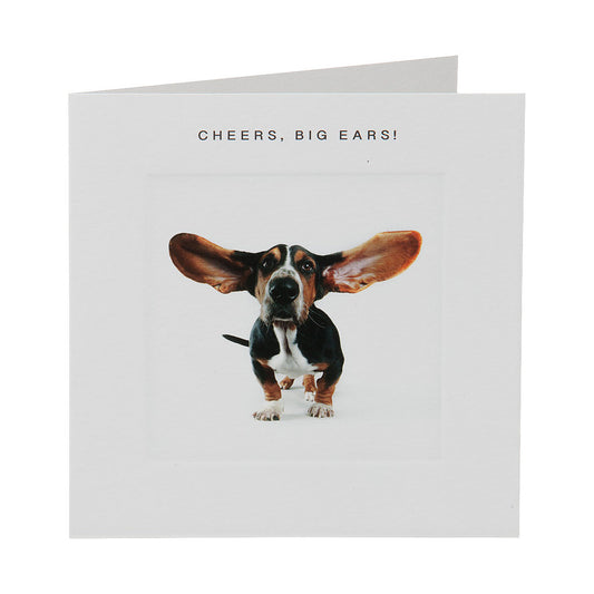 Funny Puppy Big Ears Birthday Card