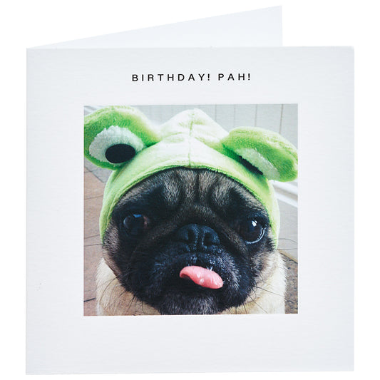 Cute Pug Birthday Card