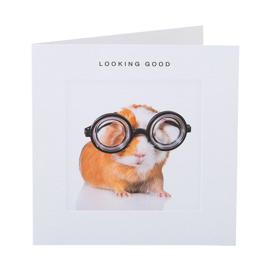 Cute Guinea Pig Greeting Card
