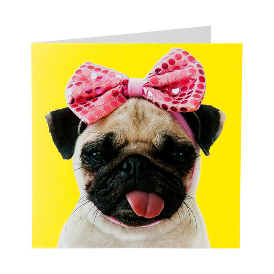 Cute Pug & Bow Greeting Card