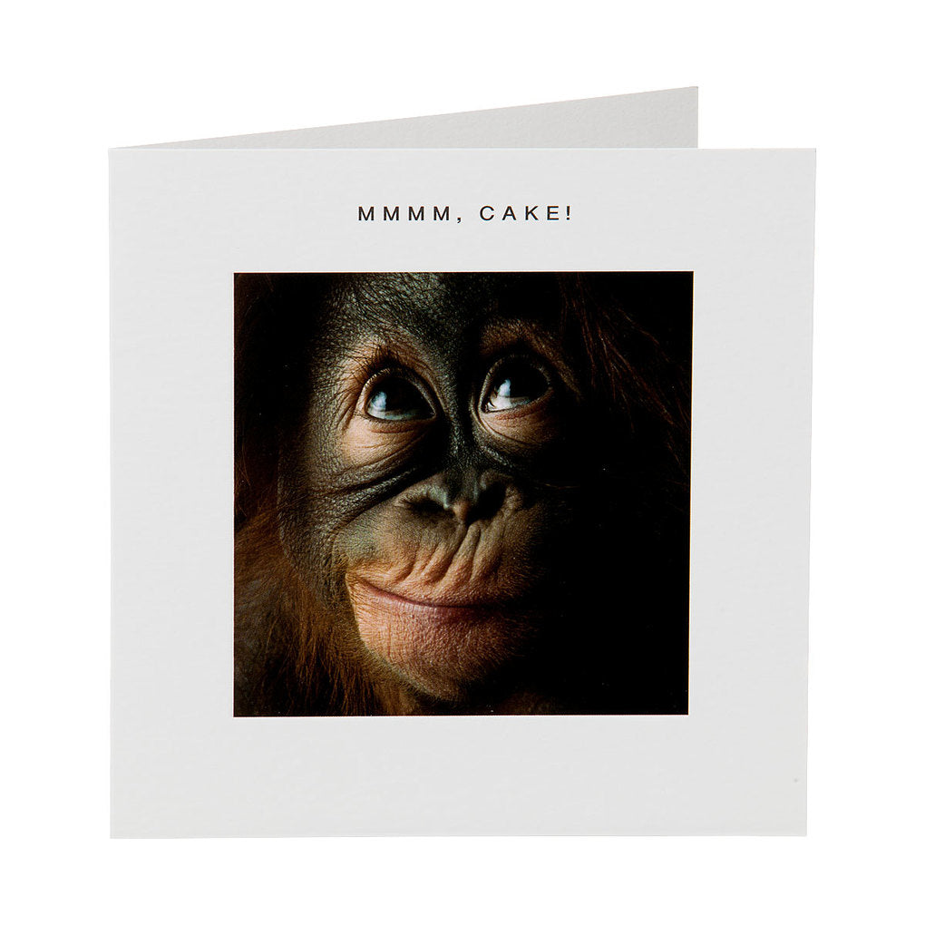 Cute Orangutan Baby Cake Birthday Card