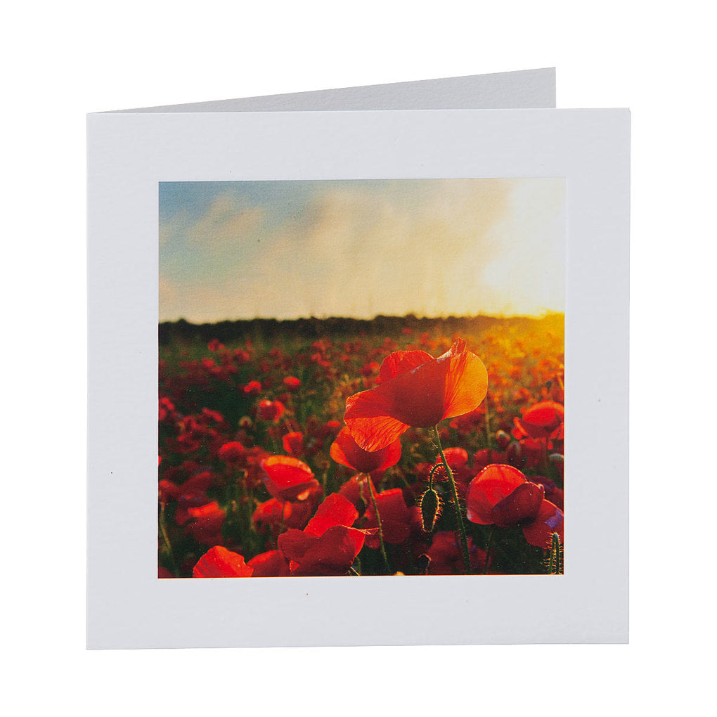 Traditional Art Poppies Greeting Card