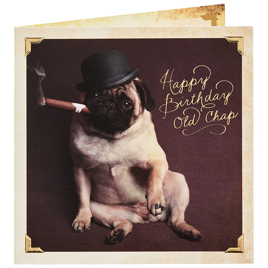 Funny Gentleman Pug Birthday Card