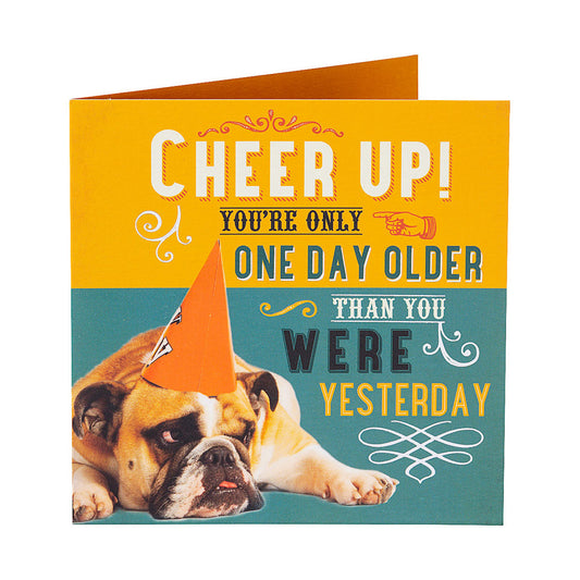 Funny Cheer Up Dog Birthday Card