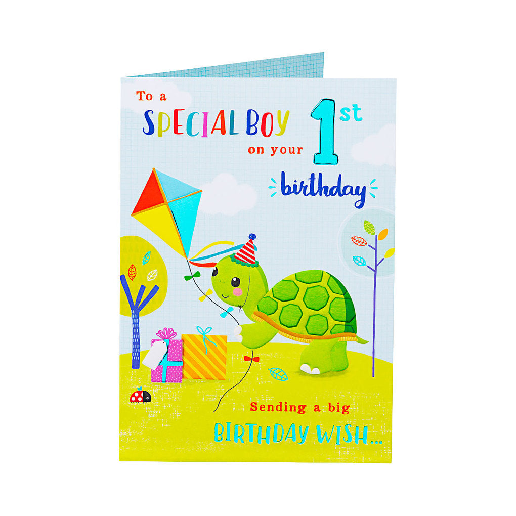 Cute Turtle 1 Year Old Boy Birthday Card