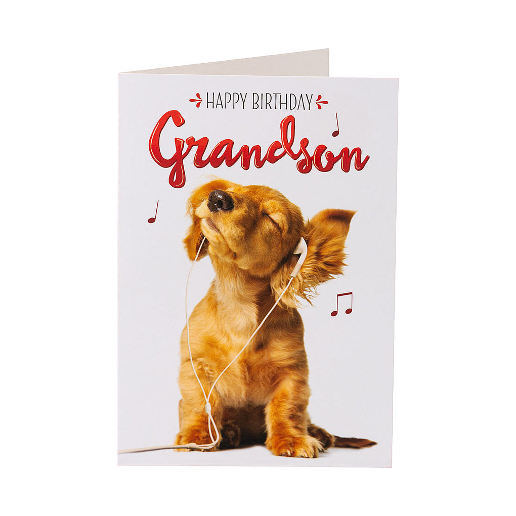 Cute Puppy Music Grandson Birthday Card