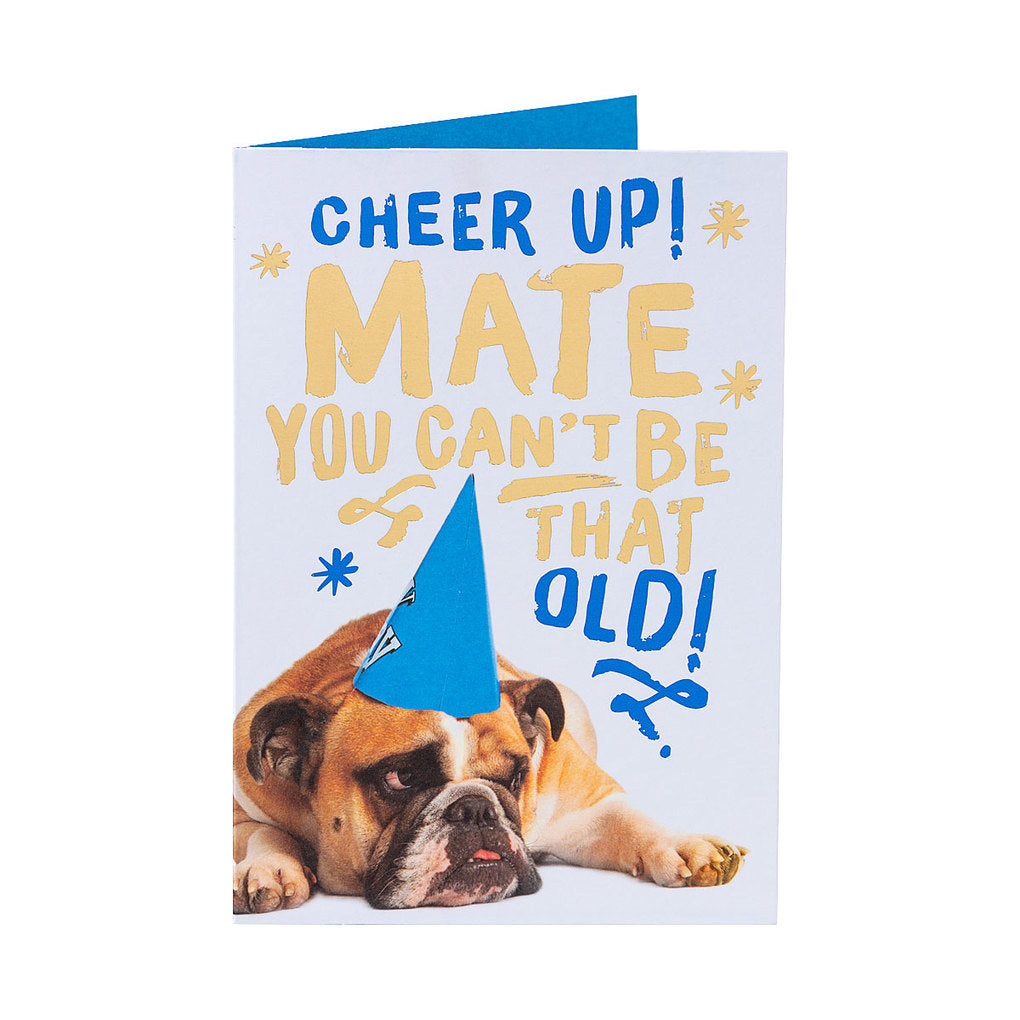 Funny Old Bull Dog Happy Birthday Card