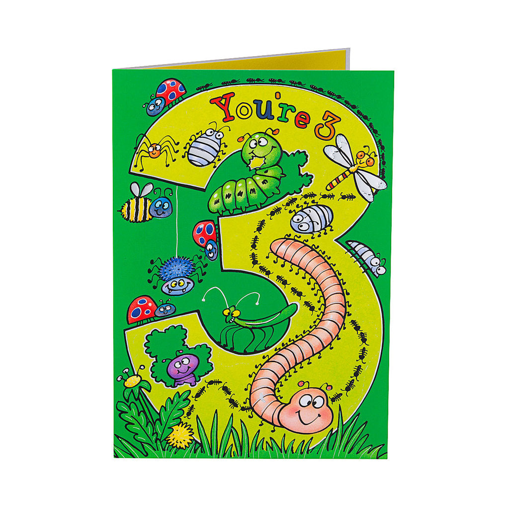 Cute Bugs 3rd Birthday Card