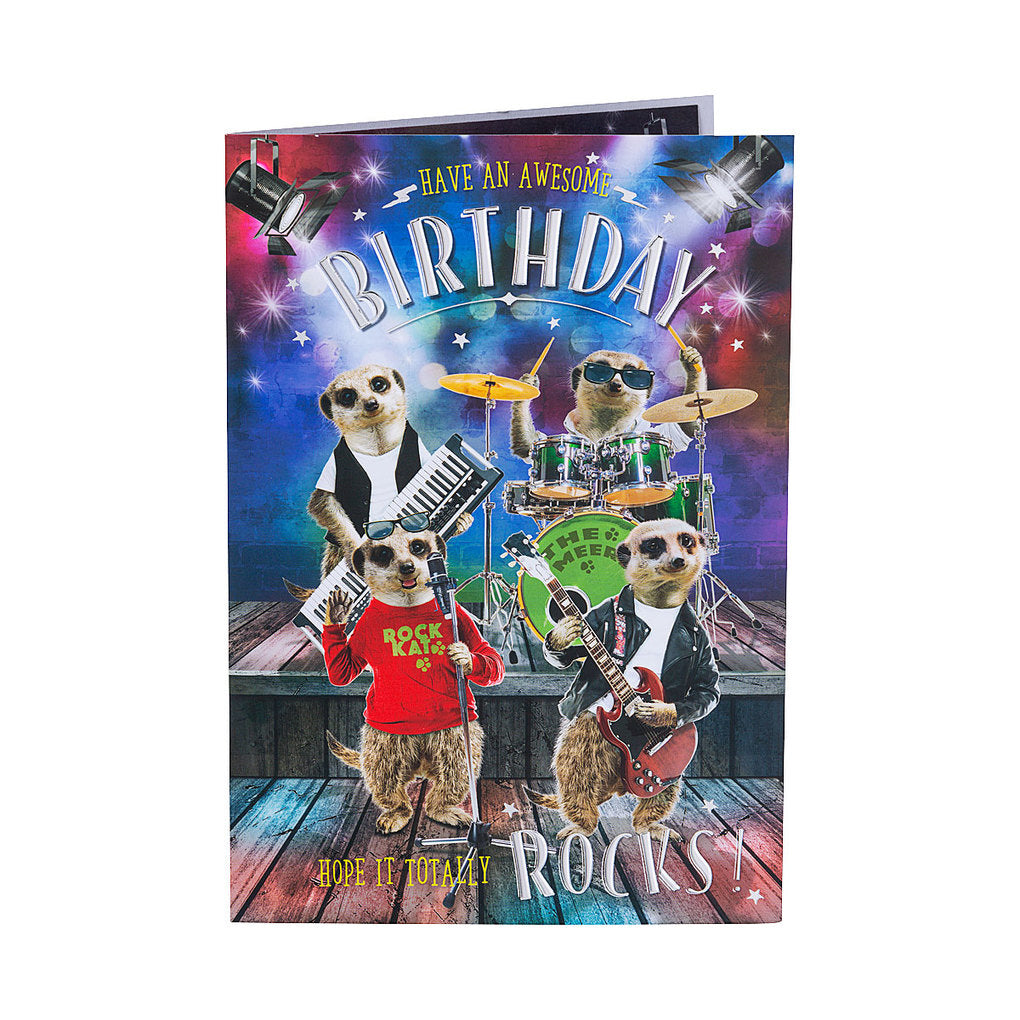 Cute Meer Cat Band Male Birthday Card
