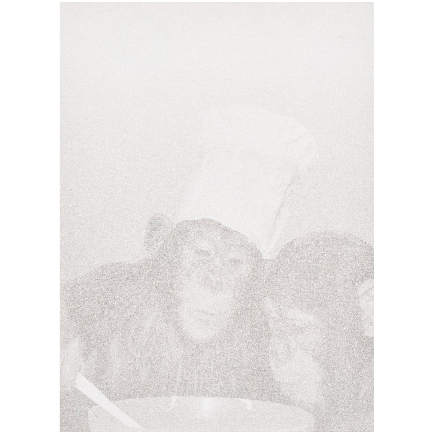 Funny Birthday Card Chimps Cooking