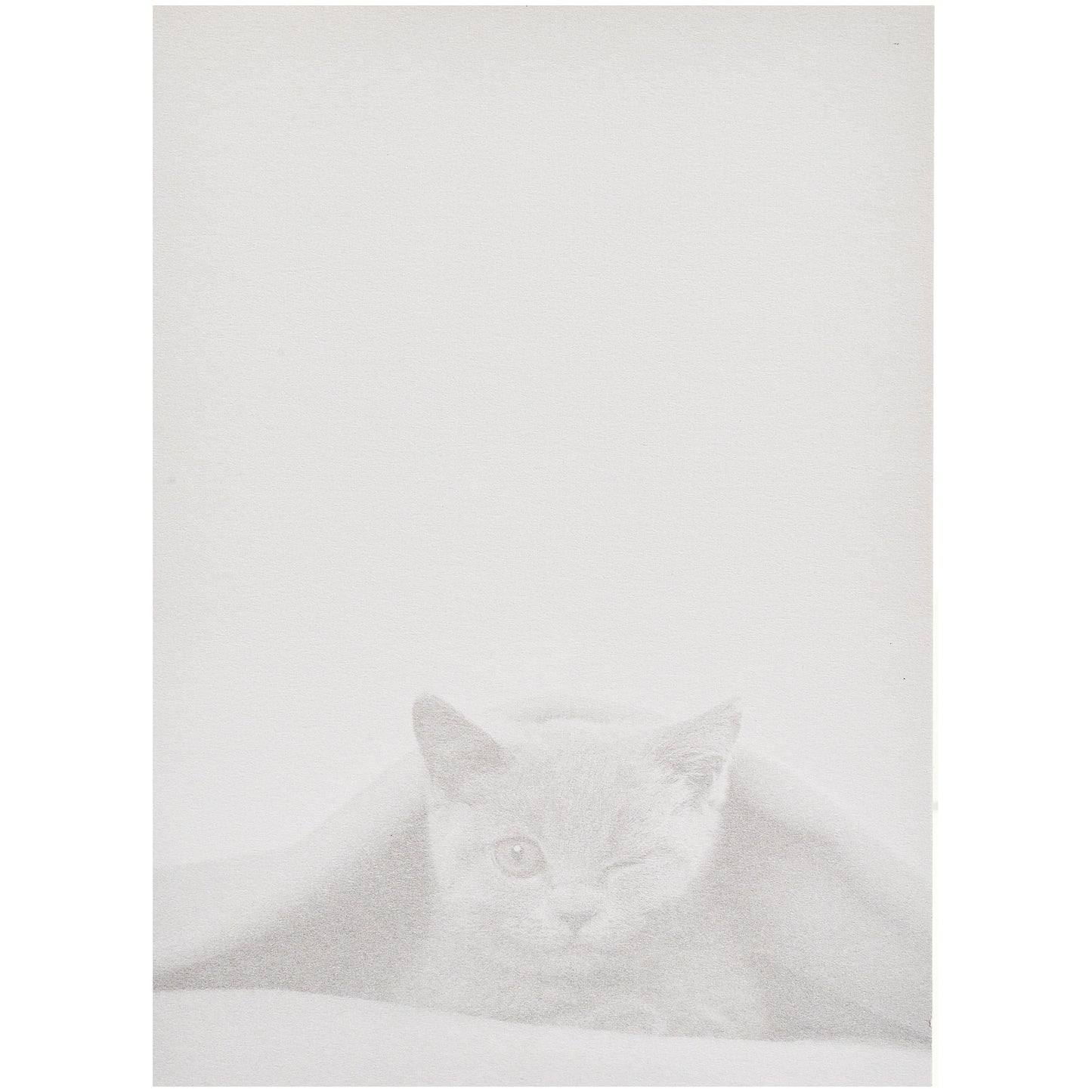 Funny Birthday Card Winking 21 Kitten