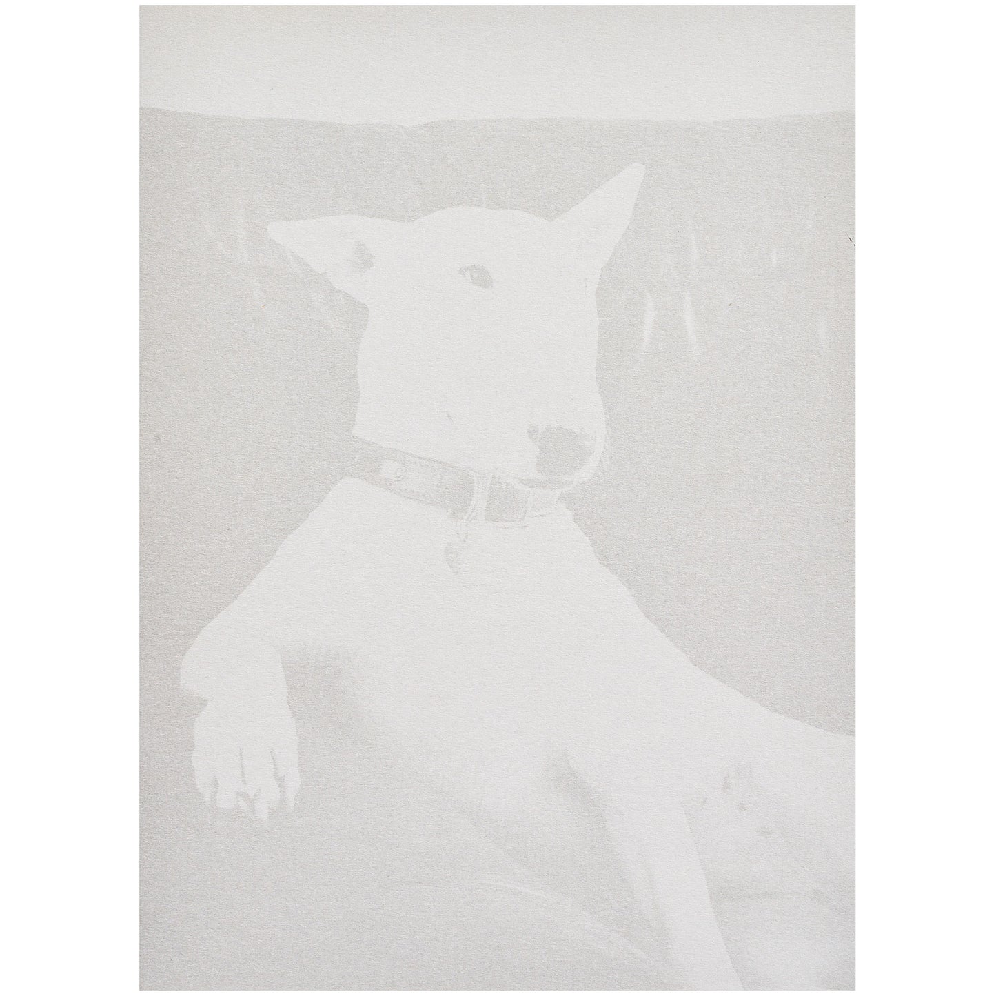 Funny Birthday Card For A Dog Lover