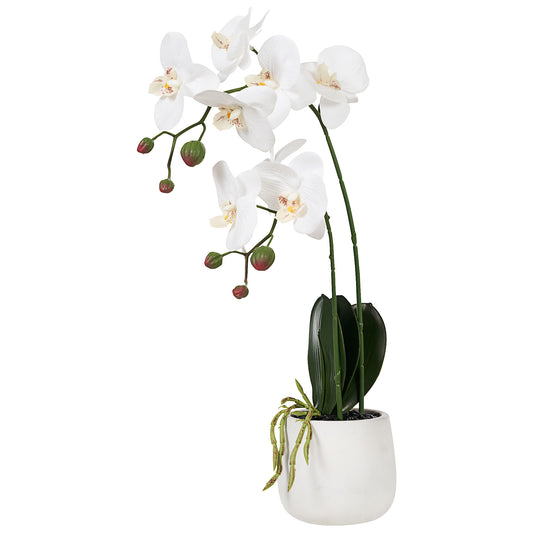 Artificial Orchid Pot 43cm