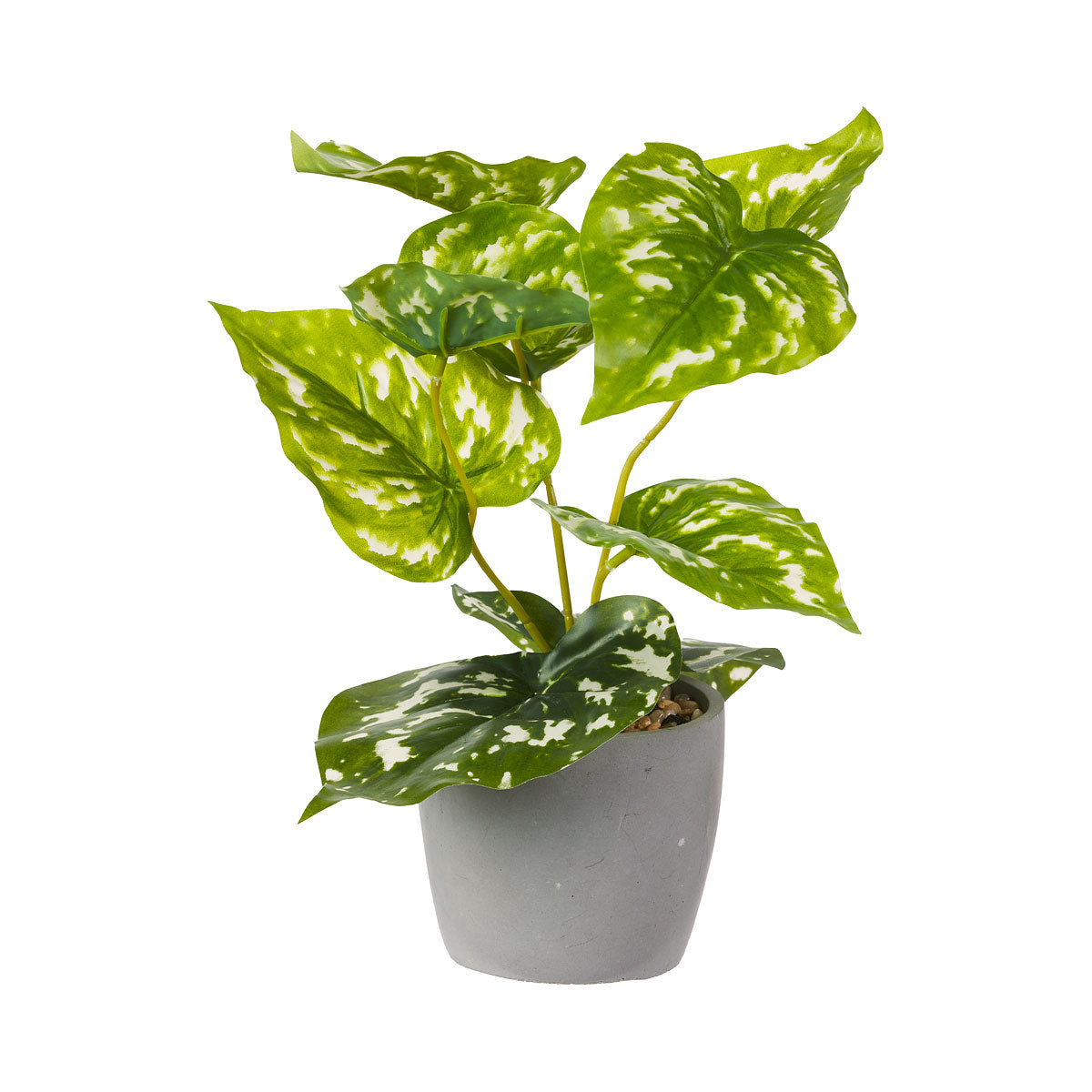 Faux Leafy Plant in Cement Pot