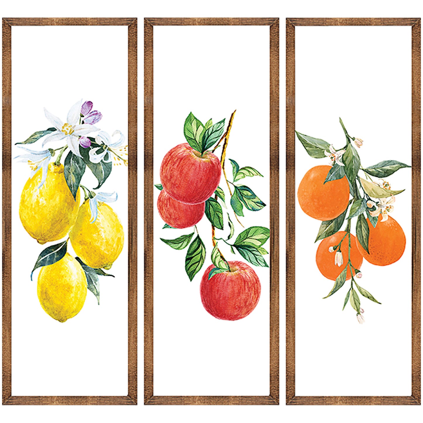 Nature Art Frame Assorted