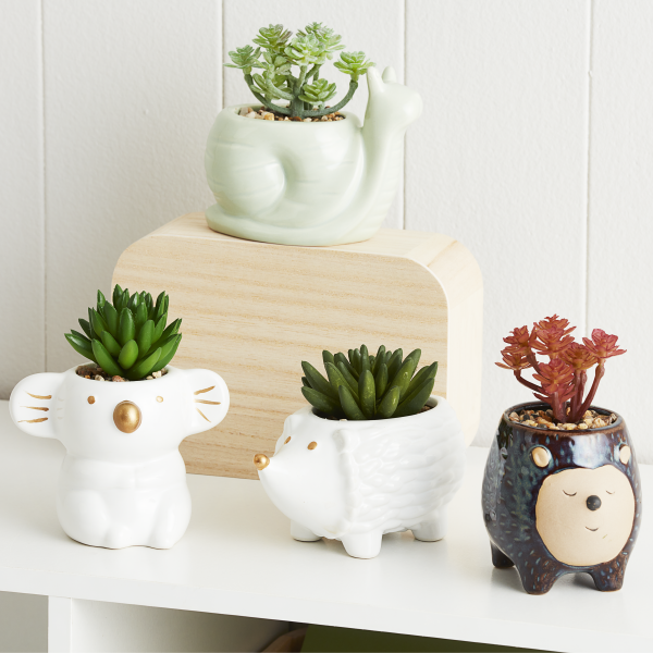 Novelty Faux Succulent Koala/Hedgehog