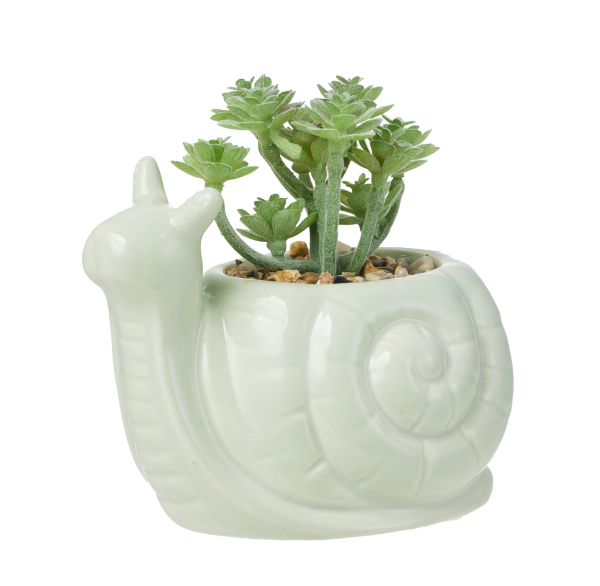 Novelty Faux Succulent Bear/Snail