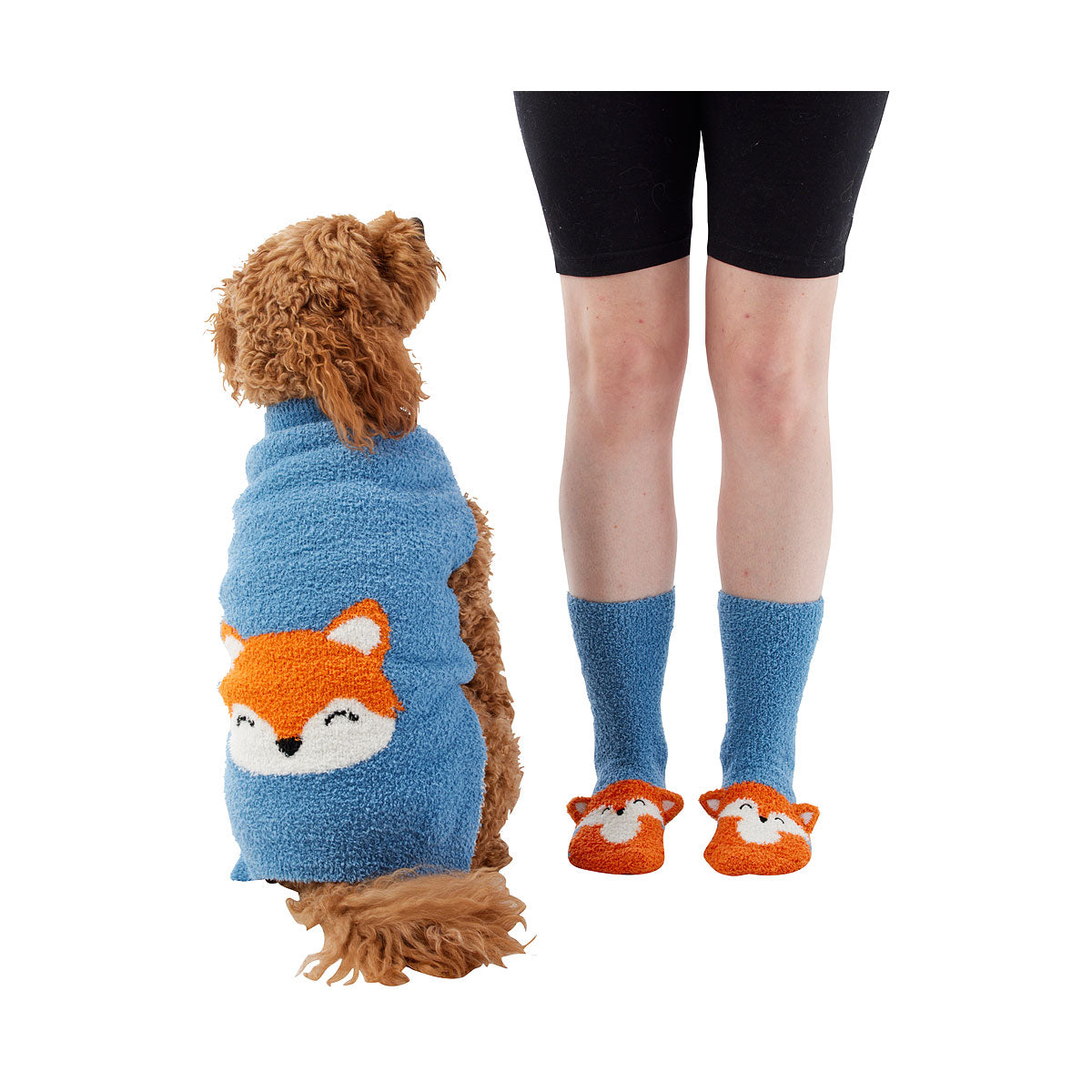 Novelty Animal Socks in a Box Assorted Styles