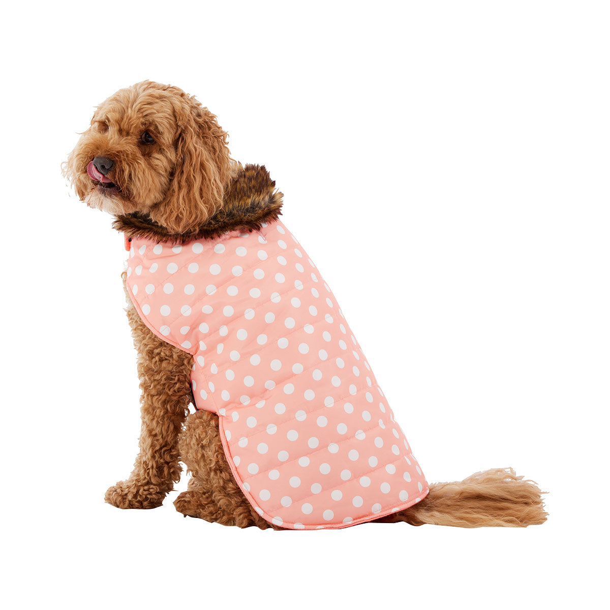 Dog Coat Maggie Medium