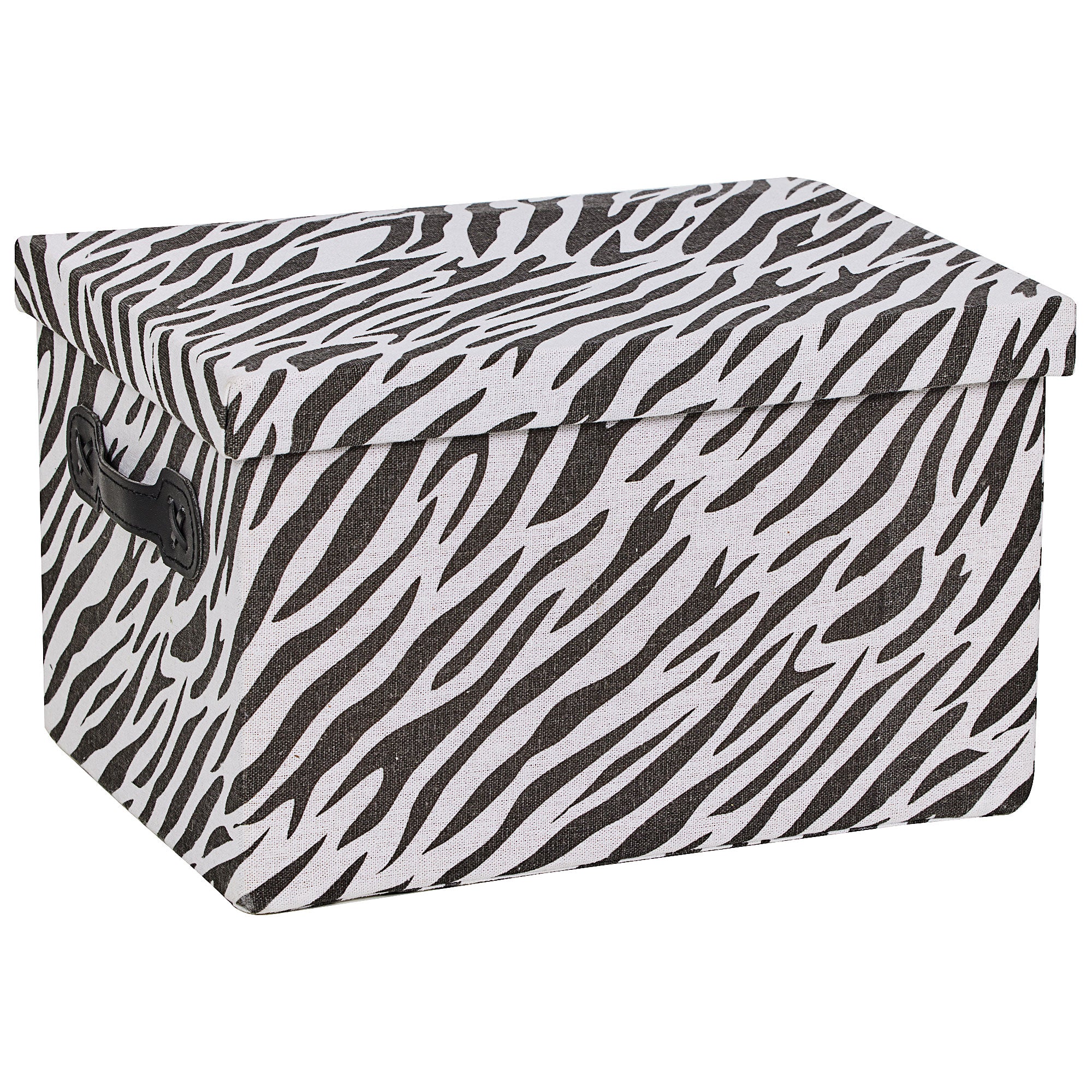 WildSide Lidded Box Large The Reject Shop