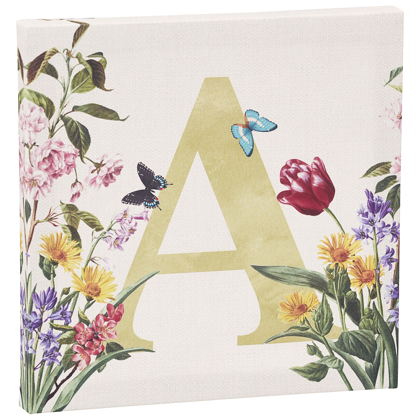 Mixed Mini Canvas 20x20cm Assorted