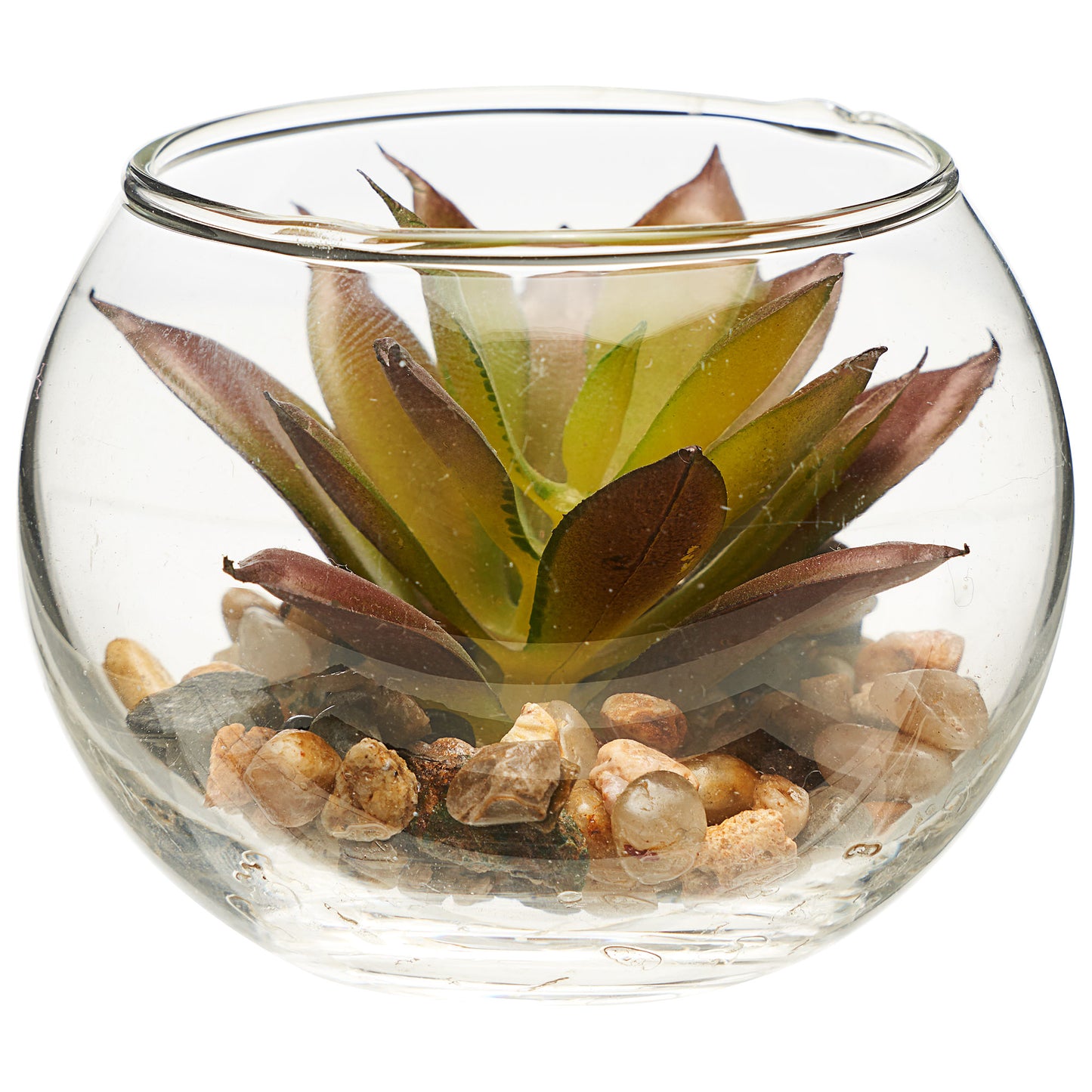 Mini Succulent Glass Bowl Assorted