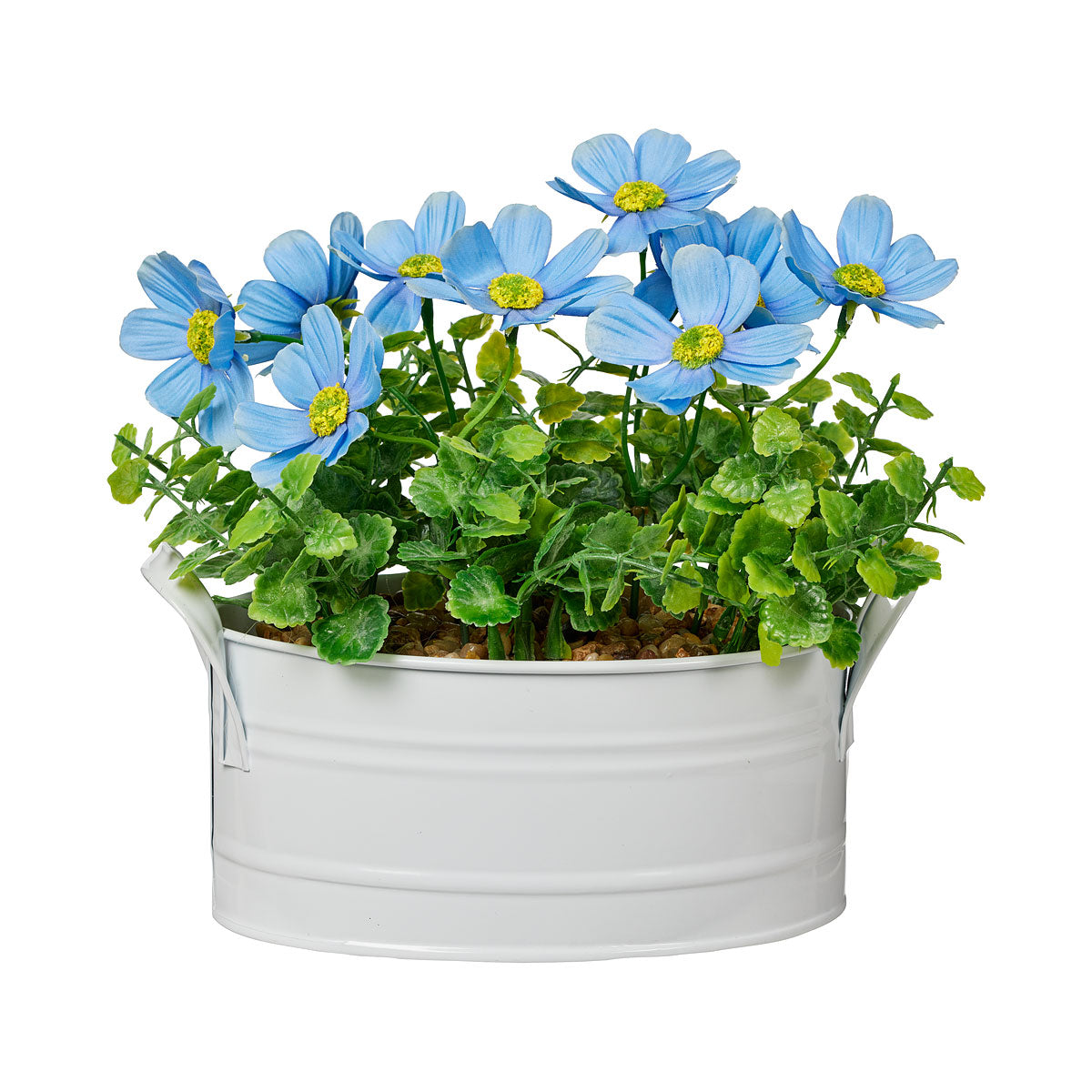 Meadow Flowers In Oval Tin Pink/Blue