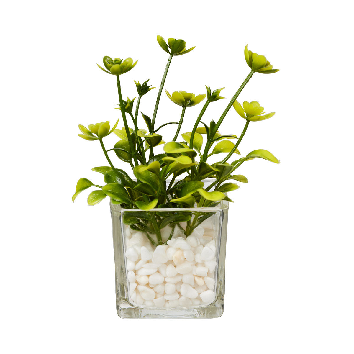 Faux Mini Meadow Succulents Assorted