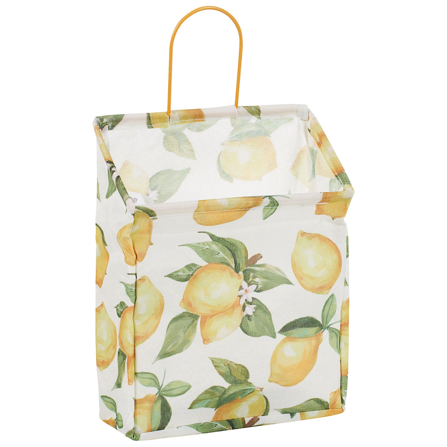 Hanging Basket - Painted Lemons 22cm